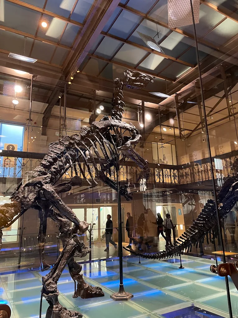 Institut des Sciences naturelles